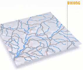 3d view of Bikong