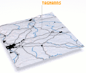 3d view of Tagmanns