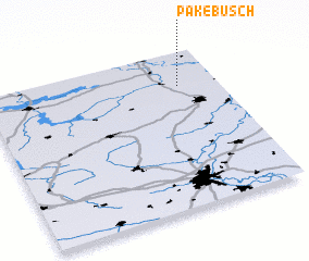 3d view of Pakebusch