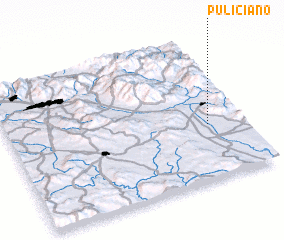 3d view of Puliciano