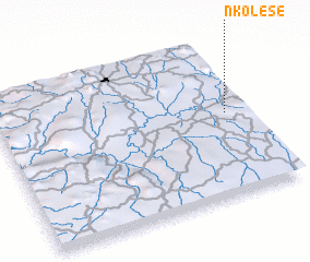 3d view of Nkolesé