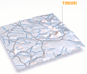 3d view of Timkori