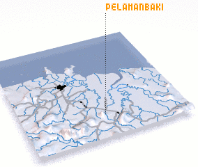 3d view of Pelaman Baki