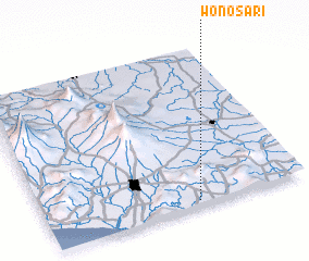 3d view of Wonosari