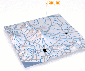 3d view of Jabung