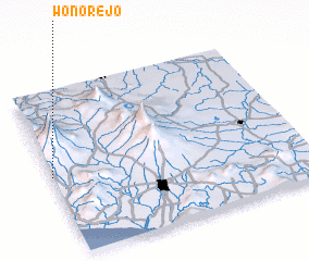 3d view of Wonorejo