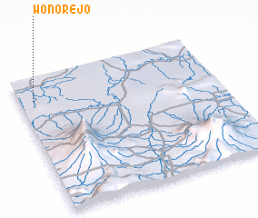 3d view of Wonorejo