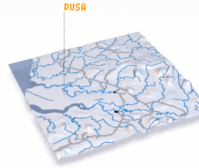 3d view of Pusa