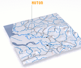 3d view of Muton