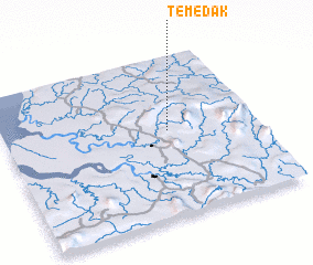 3d view of Temedak