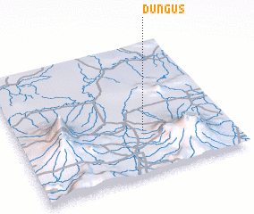 3d view of Dungus