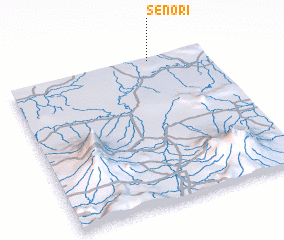 3d view of Senori