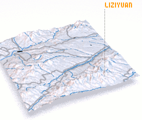 3d view of Liziyuan