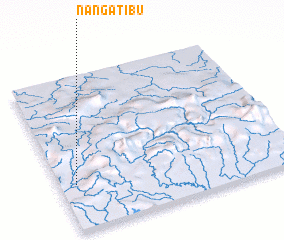 3d view of Nanga Tibu
