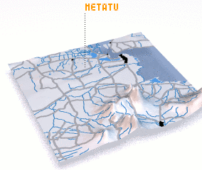 3d view of Metatu