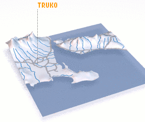 3d view of Truko