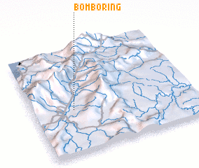 3d view of Bomboring