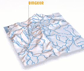 3d view of Bingkor