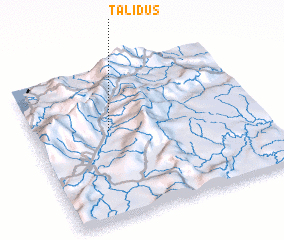 3d view of Talidus