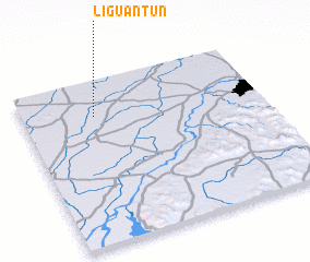 3d view of Liguantun