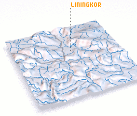 3d view of Liningkor