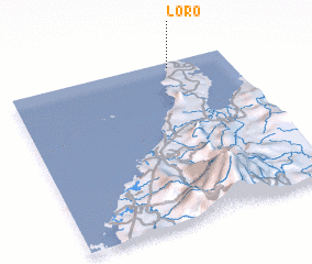 3d view of Loro