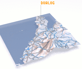 3d view of Dualog