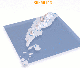 3d view of Sumbiling