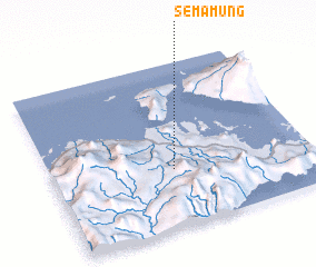 3d view of Semamung