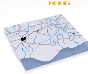 3d view of Pachigang