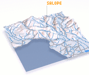 3d view of Salope