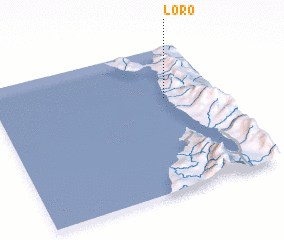3d view of Loro