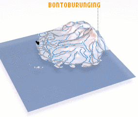 3d view of Bontoburunging