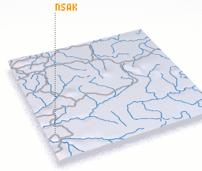 3d view of Nsak