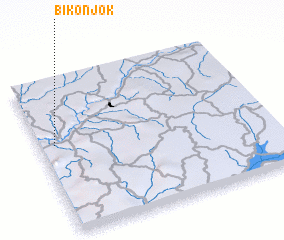 3d view of Bikonjok