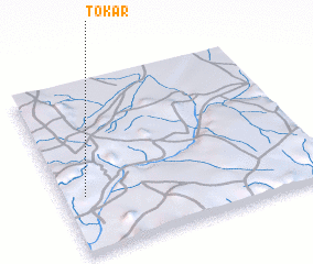 3d view of Tokar