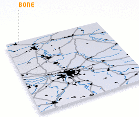 3d view of Bone