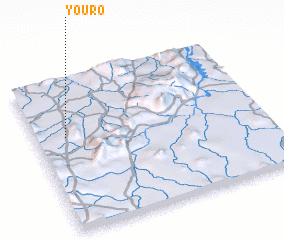 3d view of Youro