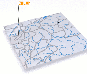 3d view of Zalom