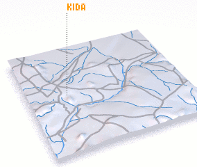 3d view of Kida