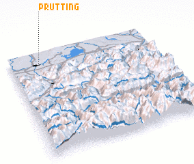 3d view of Prutting