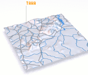 3d view of Tawa