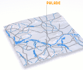 3d view of Palade