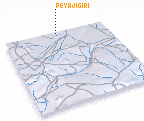 3d view of Peyajigiri