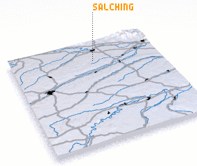3d view of Salching