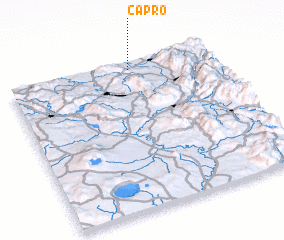 3d view of Capro