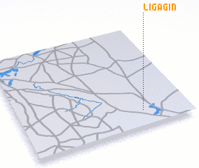 3d view of Ligagin