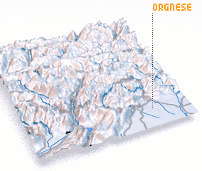 3d view of Orgnese