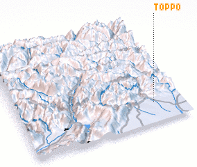 3d view of Toppo