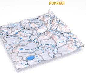 3d view of Pupaggi